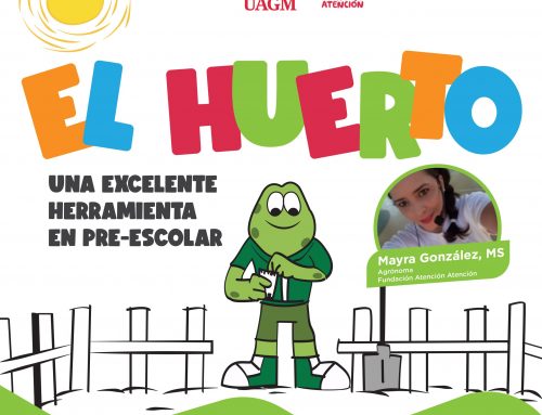 EL HUERTO – una excelente herramienta en pre-escolar